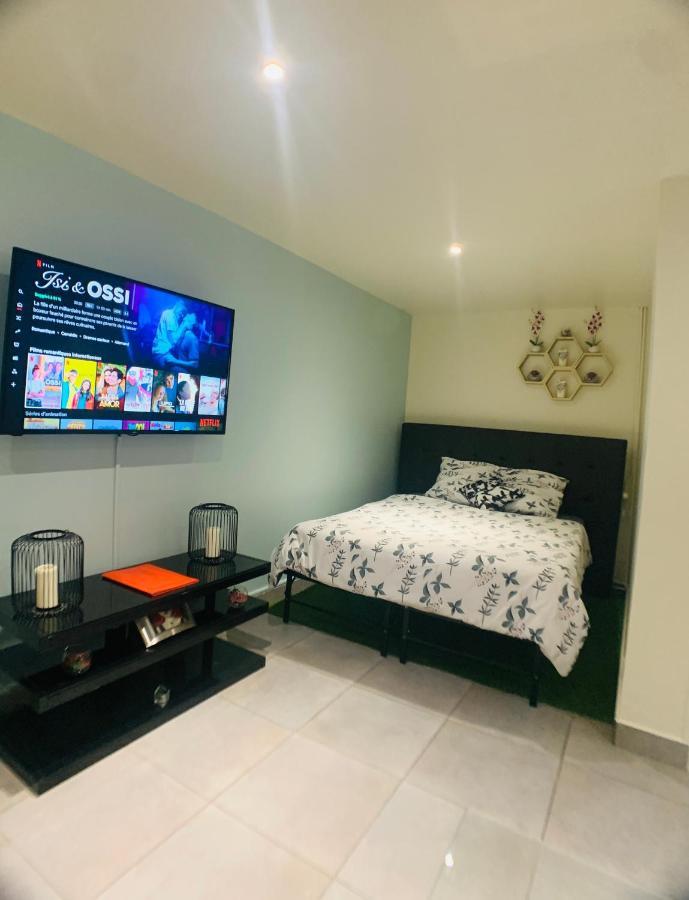Appartement Cosy Proche Roissy Cdg Asterix Disneyland Paris Goussainville  Zewnętrze zdjęcie